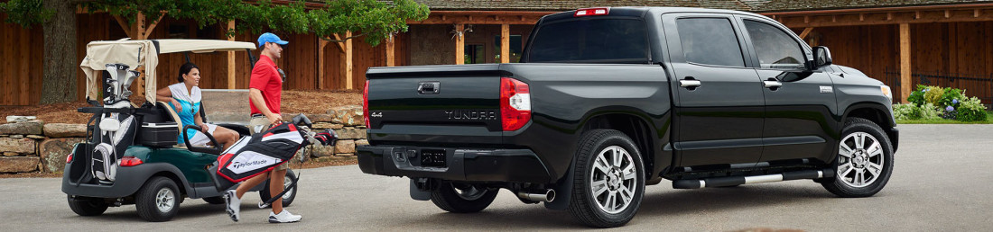 Tundra